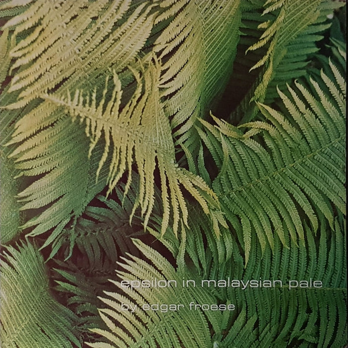 Edgar Froese – Epsilon In Malaysian Pale (LP, Vinyl Record Album)