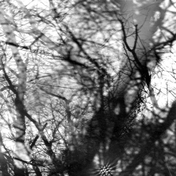 Grouper – Way Their Crept