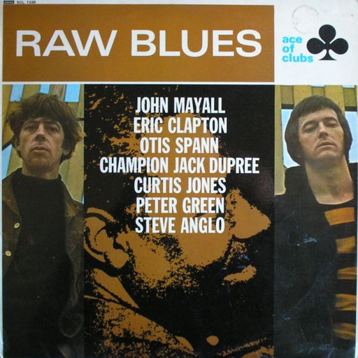 Various – Raw Blues (LP, Vinyl Record Album)