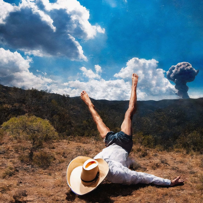 Geese – 3D Country (LP, Vinyl Record Album)