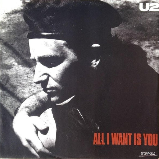 U2 – All I Want Is You (LP, Vinyl Record Album)