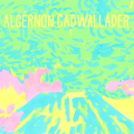 Algernon Cadwallader – Trying Not To Have A Thought (LP, Vinyl Record Album)