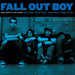 Fall Out Boy – Take This To Your Grave (LP, Vinyl Record Album)