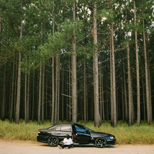 Skin On Skin – Save Me (LP, Vinyl Record Album)