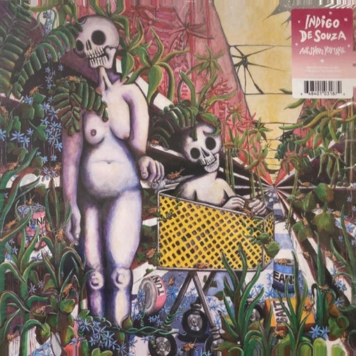 Indigo De Souza – Any Shape You Take (LP, Vinyl Record Album)