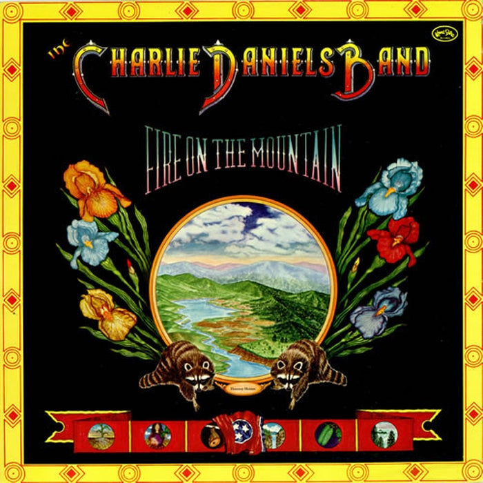 Fire On The Mountain – The Charlie Daniels Band (LP, Vinyl Record Album)