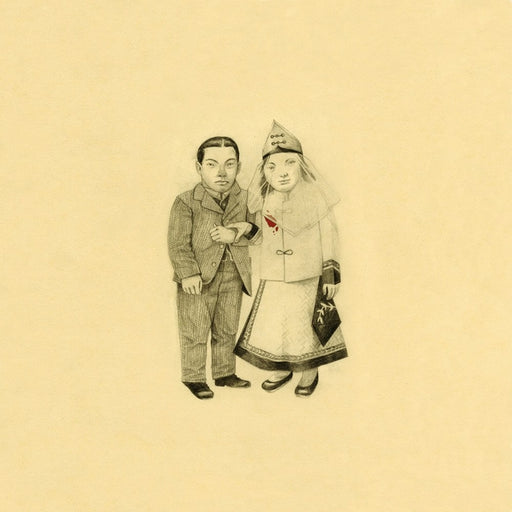 The Decemberists – The Crane Wife (2xLP) (LP, Vinyl Record Album)