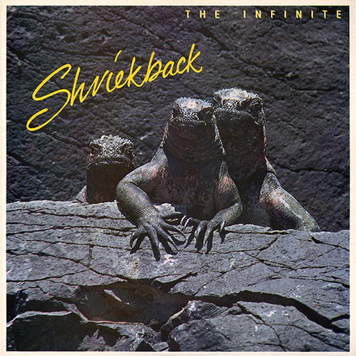 Shriekback – The Infinite (LP, Vinyl Record Album)