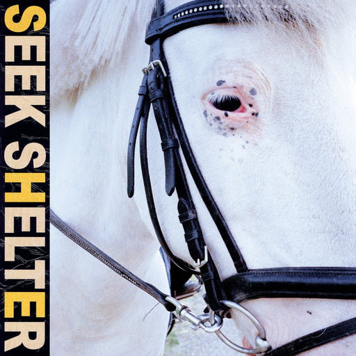 Iceage – Seek Shelter (LP, Vinyl Record Album)