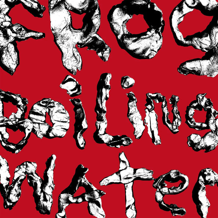 DIIV – Frog In Boiling Water - Image 1