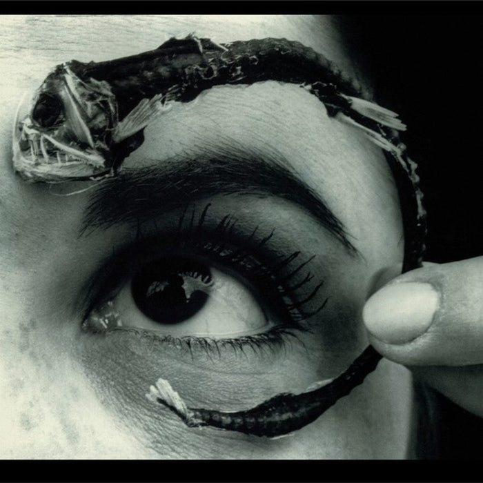 Mr. Bungle – Disco Volante (2xLP) (LP, Vinyl Record Album)