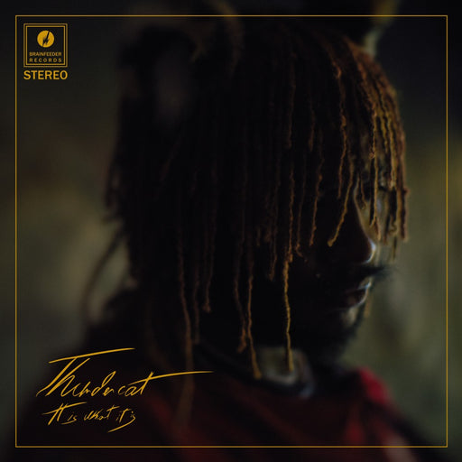 Thundercat – It Is What It Is (Red vinyl) LP vinyl record, image 1 of 2