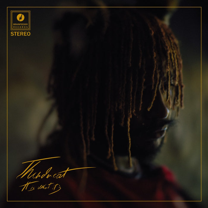 Thundercat – It Is What It Is (Red vinyl) LP vinyl record, image 1 of 2