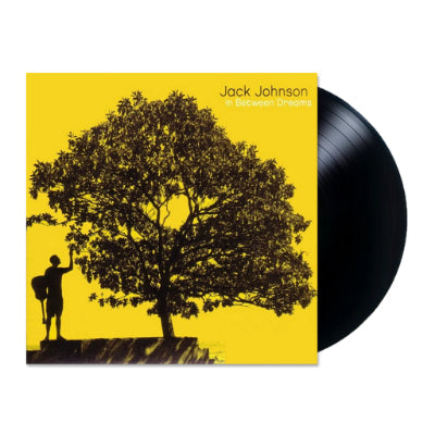 In Between Dreams – Jack Johnson LP vinyl record, image 2 of 3