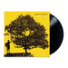 In Between Dreams – Jack Johnson LP vinyl record, image 2 of 3
