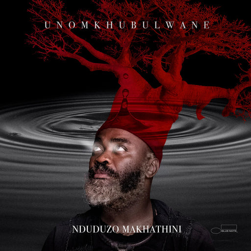 Nduduzo Makhathini – Unomkhubulwane (2xLP) - Image 1