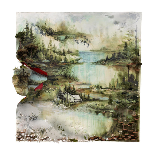 Bon Iver – Bon Iver, Bon Iver LP vinyl record, image 1 of 2
