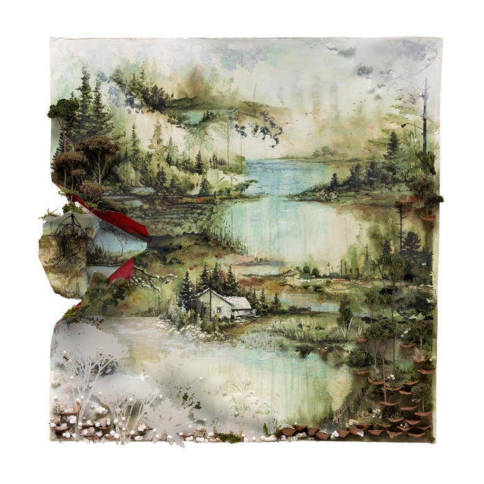 Bon Iver – Bon Iver, Bon Iver LP vinyl record, image 1 of 2