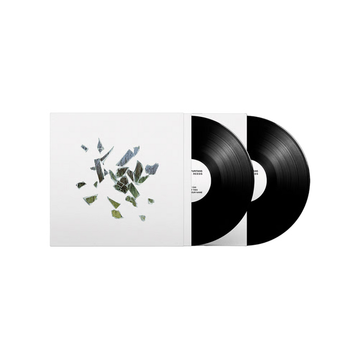 These New Puritans – Field Of Reeds (2xLP) - Image 2