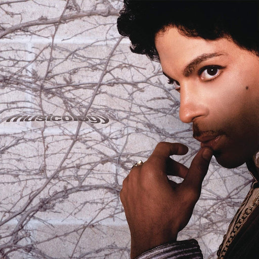 Prince – Musicology (2xLP) - Image 1