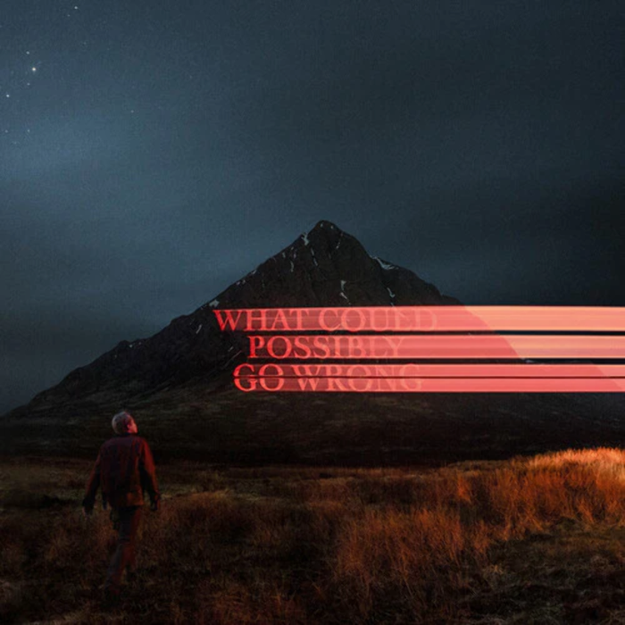 Dominic Fike – What Could Possibly Go Wrong LP vinyl record, image 1 of 2