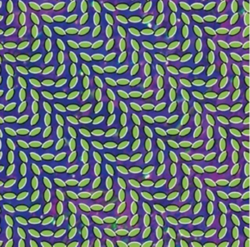 Animal Collective – Merriweather Post Pavilion (2xLP) LP vinyl record, image 1 of 2