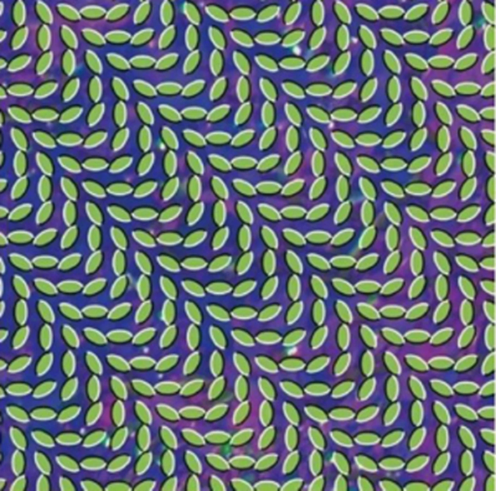 Animal Collective – Merriweather Post Pavilion (2xLP) LP vinyl record, image 1 of 2