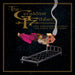 The Geraldine Fibbers – Lost Somewhere Between The Earth And My Home (2xLP) LP vinyl record, image 1 of 2