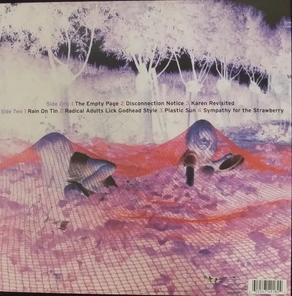 Sonic Youth – Murray Street LP vinyl record, image 3 of 3
