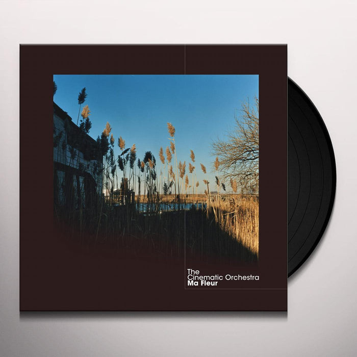 The Cinematic Orchestra – Ma Fleur (2xLP) LP vinyl record, image 2 of 2