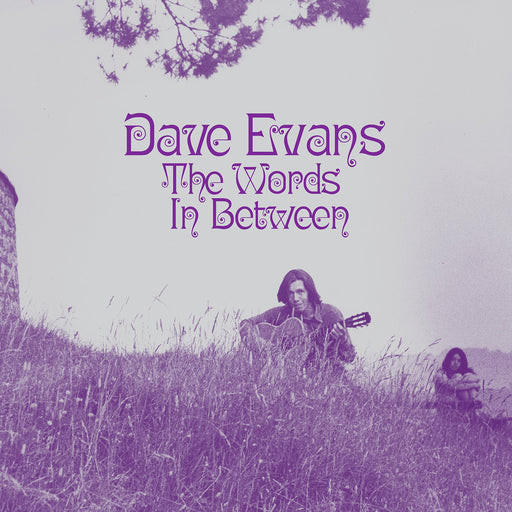 Dave Evans – The Words In Between (Light in the Attic) LP vinyl record