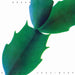 Hiroshi Yoshimura – Green (Coloured Vinyl, Light in the Attic) LP vinyl record, image 1 of 2