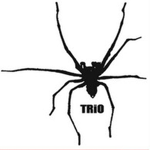 Spider Trio – Rendezvous (LP, Vinyl Record Album)