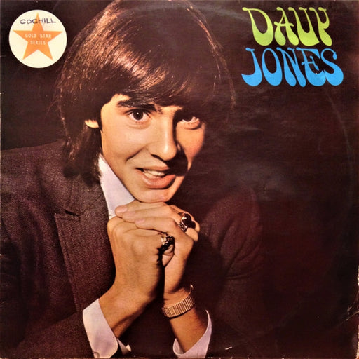 Davy Jones – Davy Jones (LP, Vinyl Record Album)