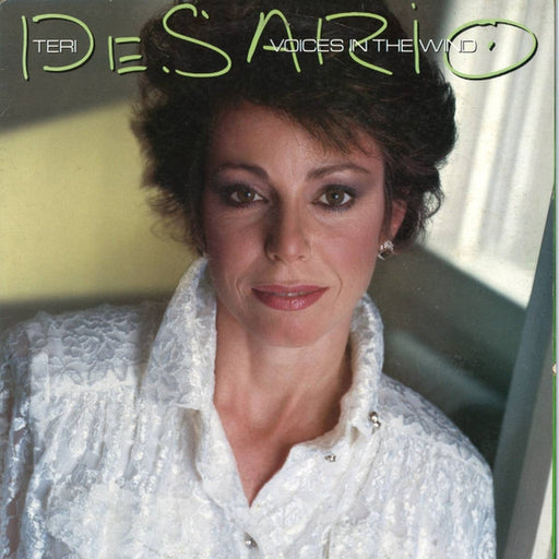 Teri DeSario – Voices In The Wind (LP, Vinyl Record Album)