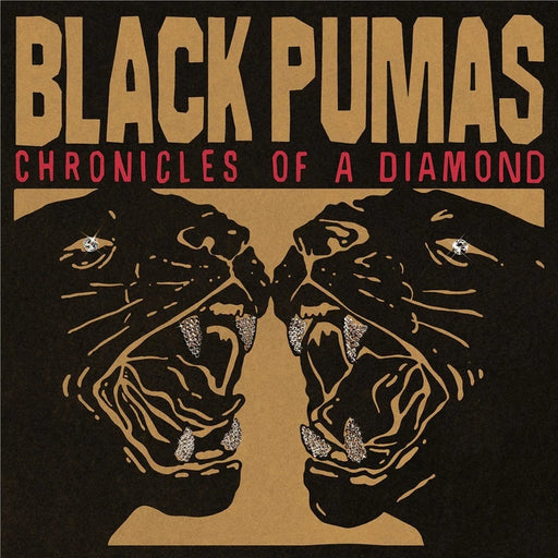 Black Pumas – Chronicles Of A Diamond (LP, Vinyl Record Album)