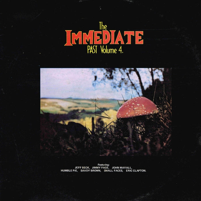 Various – The Immediate Past Vol 4 (LP, Vinyl Record Album)