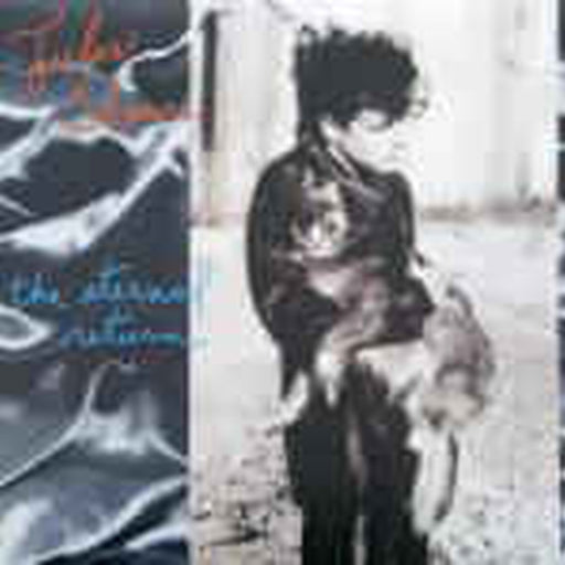 Jules Shear – The Eternal Return (LP, Vinyl Record Album)