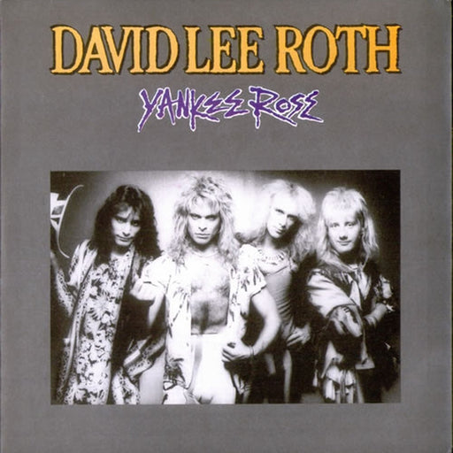 David Lee Roth – Yankee Rose (LP, Vinyl Record Album)