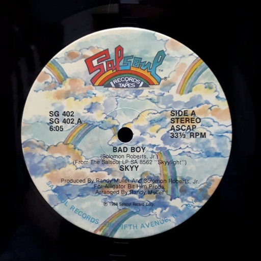 Skyy – Bad Boy (LP, Vinyl Record Album)