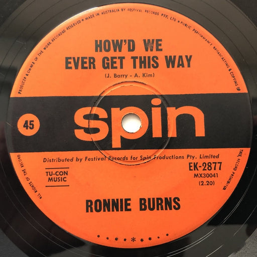 Ronnie Burns – How'd We Ever Get This Way (LP, Vinyl Record Album)