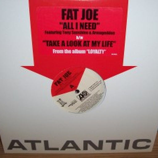 Fat Joe – All I Need (LP, Vinyl Record Album)