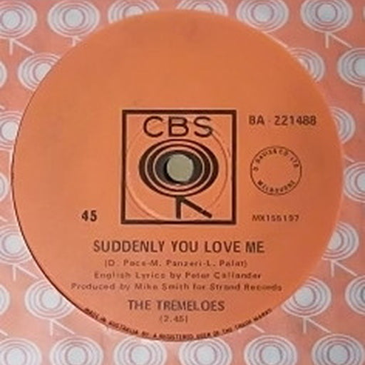 The Tremeloes – Suddenly You Love Me (LP, Vinyl Record Album)
