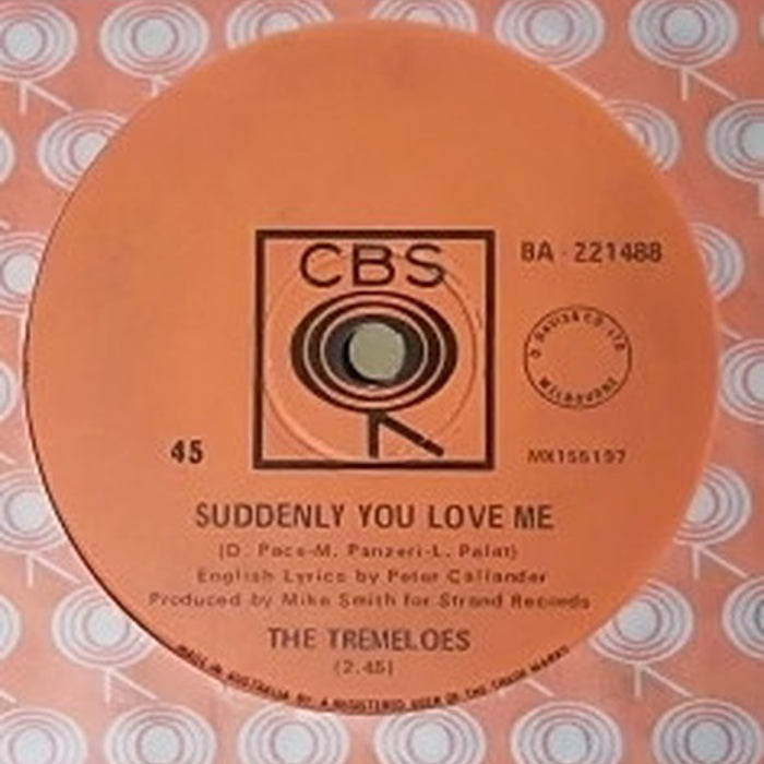 The Tremeloes – Suddenly You Love Me (LP, Vinyl Record Album)