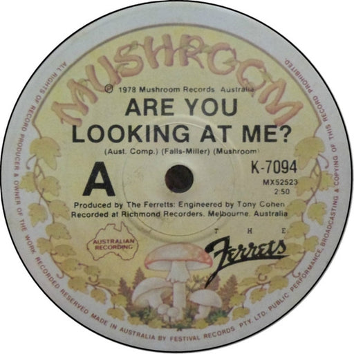 The Ferrets – Are You Looking At Me? (LP, Vinyl Record Album)