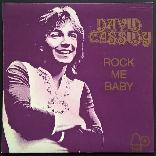 David Cassidy – Rock Me Baby (LP, Vinyl Record Album)
