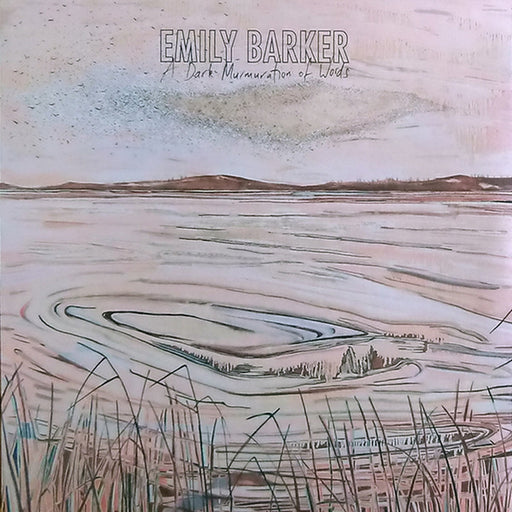 Emily Barker – A Dark Murmuration Of Words (LP, Vinyl Record Album)