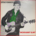 Steve Forbert – Jackrabbit Slim (LP, Vinyl Record Album)