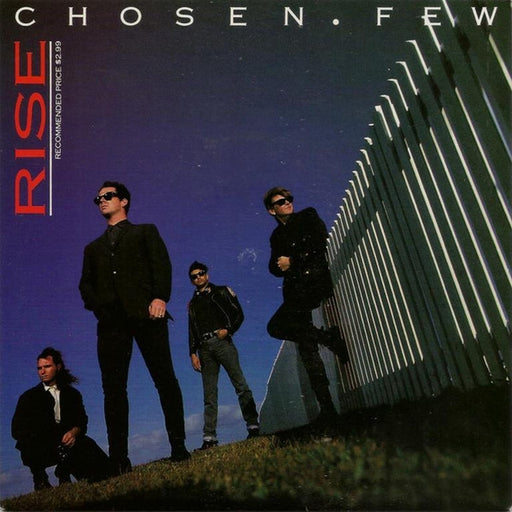 Chosen Few – Rise (LP, Vinyl Record Album)