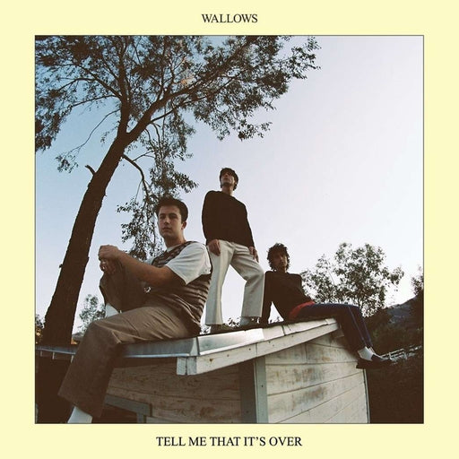 Wallows – Tell Me That It's Over (LP, Vinyl Record Album)